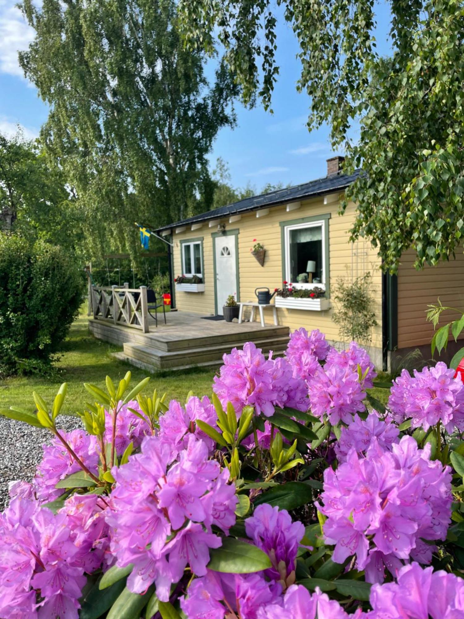 Nice Child-Friendly House 200M From Beautiful Beach, Farhult Екстериор снимка